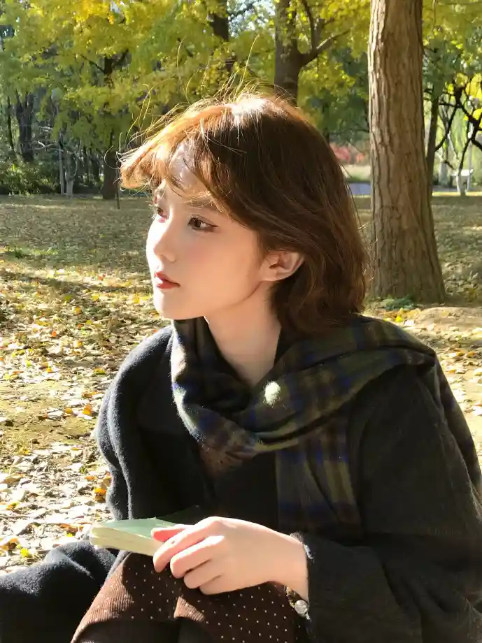 小说电脑版下载界面示意图